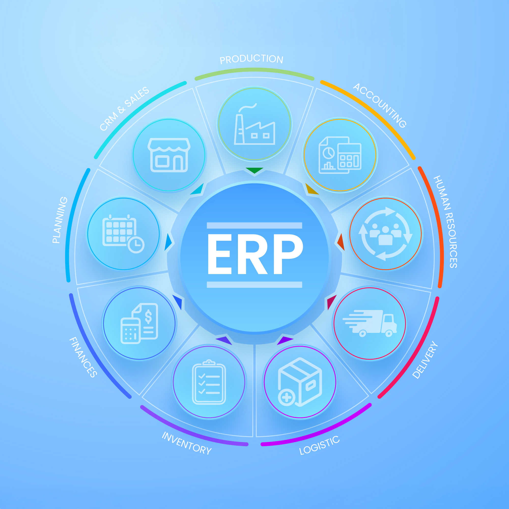 ERP-Raghu-Consultation-services